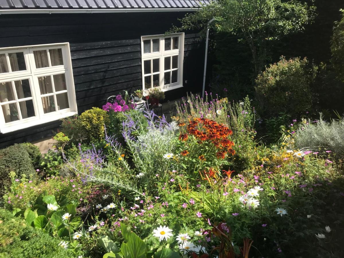 T Huuske Tuinappartement Met Fantastisch Uitzicht, Nabij Zee Zonnemaire Exteriér fotografie