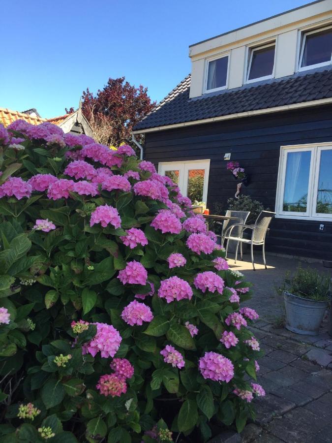 T Huuske Tuinappartement Met Fantastisch Uitzicht, Nabij Zee Zonnemaire Exteriér fotografie