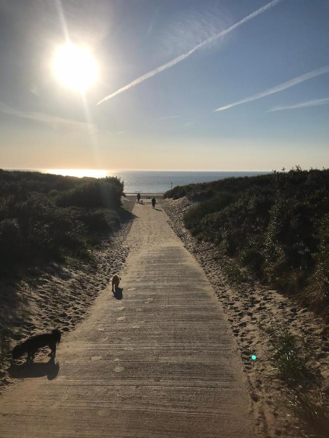 T Huuske Tuinappartement Met Fantastisch Uitzicht, Nabij Zee Zonnemaire Exteriér fotografie