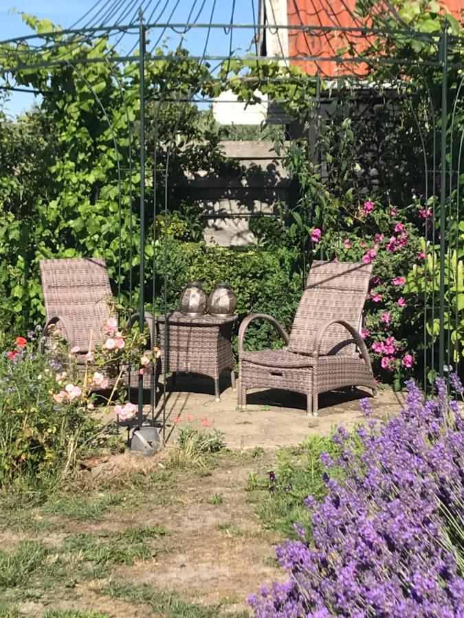 T Huuske Tuinappartement Met Fantastisch Uitzicht, Nabij Zee Zonnemaire Exteriér fotografie