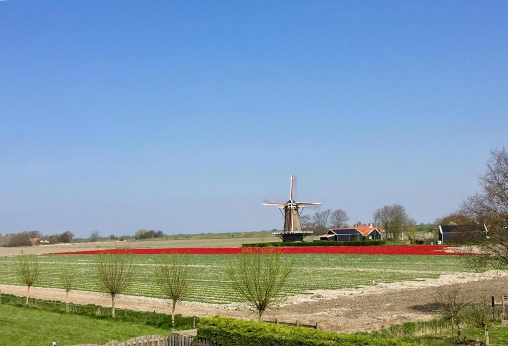T Huuske Tuinappartement Met Fantastisch Uitzicht, Nabij Zee Zonnemaire Exteriér fotografie