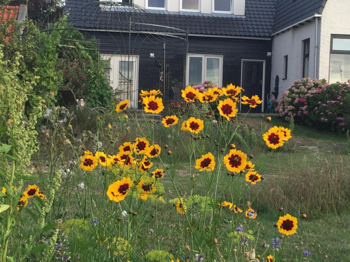 T Huuske Tuinappartement Met Fantastisch Uitzicht, Nabij Zee Zonnemaire Exteriér fotografie