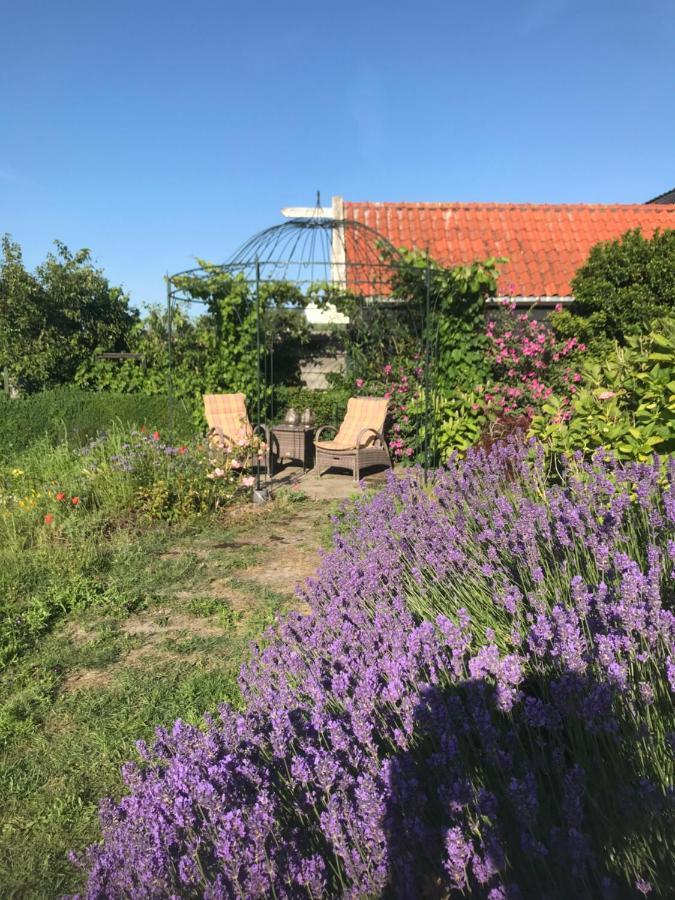 T Huuske Tuinappartement Met Fantastisch Uitzicht, Nabij Zee Zonnemaire Exteriér fotografie
